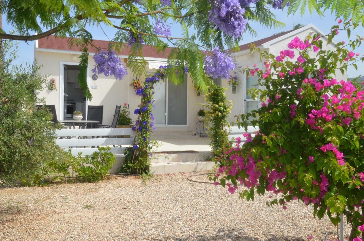 Catherine's Holiday home